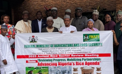 Nigeria National Rice Development Strategy – Annual Rice Sector Review Meeting (ARSRM )