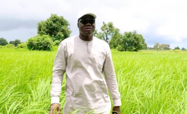 Senegal, a country where excellence and ambition shape a prosperous rice future