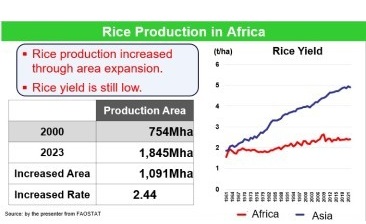 The necessity of joint efforts: Toward sustainable rice production and future food security in Africa