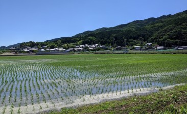 From Asian Fields to Africa Future: Knowledge Co-Creation Institutional Foundations for Rice Productions – Experience shared from Japan